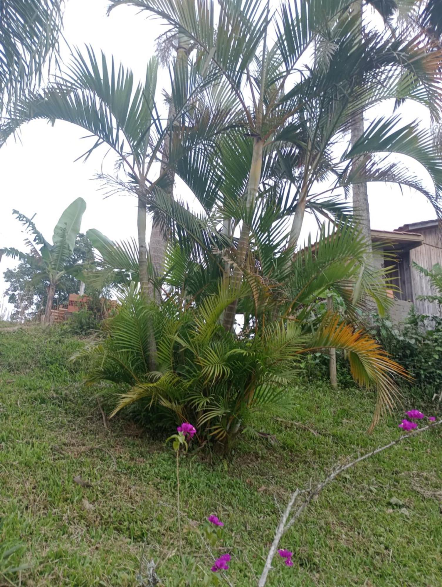 Familia Cataneo Villa Lauro Muller Ngoại thất bức ảnh